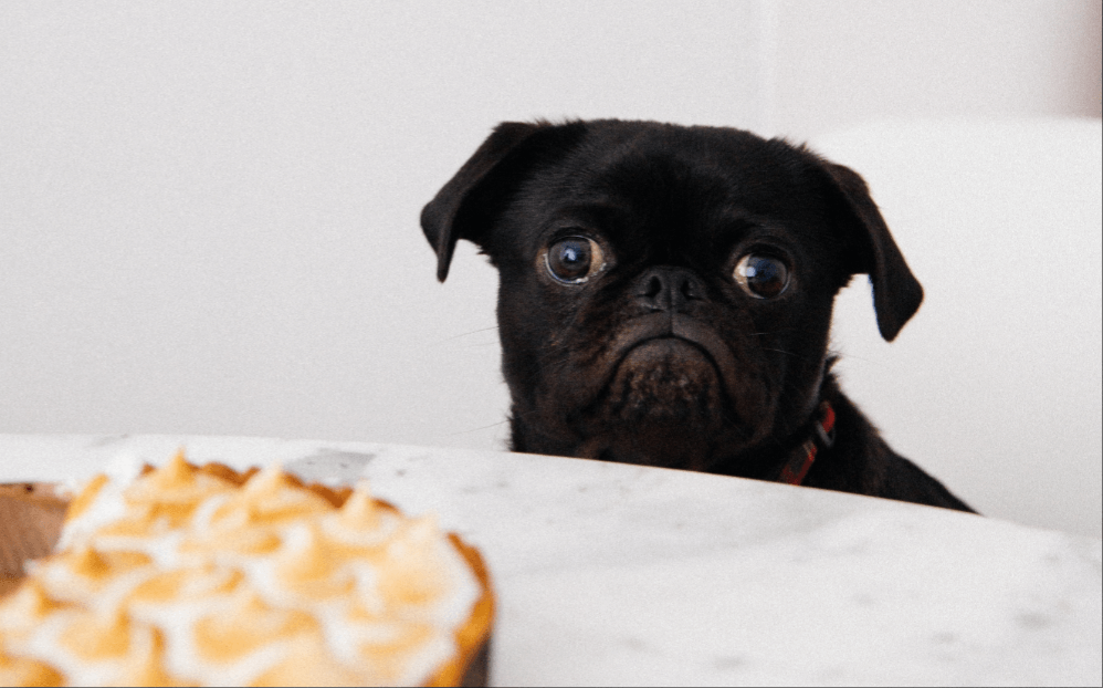 Обходимся без страданий.png